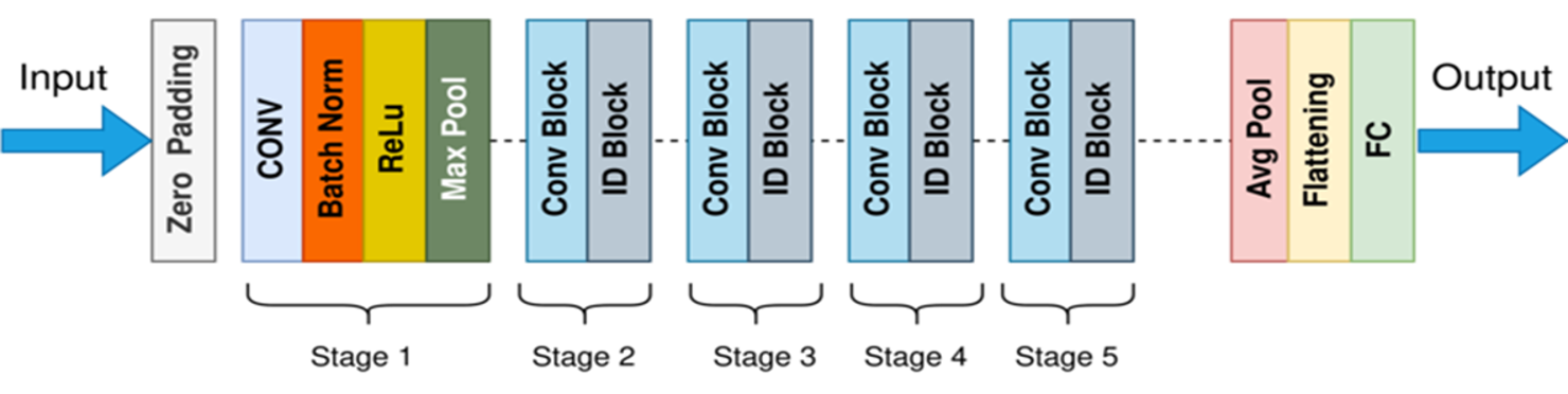 Model Architecture(resnet)